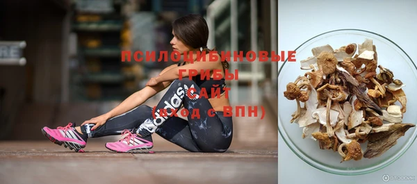 a pvp Медвежьегорск
