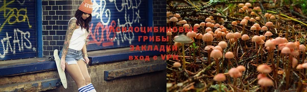 a pvp Медвежьегорск